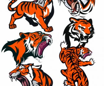 ícones Tigres Dinâmico Esboço Agressivo Colorido De Mão