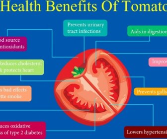 Tomato Benefit Infographic Slice Icon Text Decoration