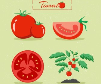 トマトのデザイン要素様々な光沢のある赤いタイプ