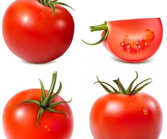 ícones De Tomate Design Vermelho Brilhante Decoração Realista
