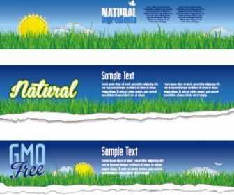 Torn Paper Eco Style Banners Vector