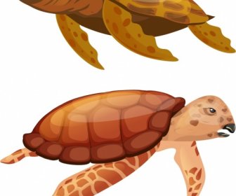 Tortoise Species Icons Shiny Red Sketch Swimming Gesture