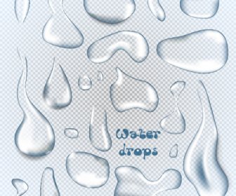 Gouttes D’eau Transparent Vector Illustration