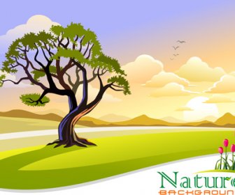 Ağaç Ve Doğal Sahne Vektör Arka Plan