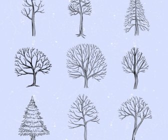 Pohon Ikon Koleksi Dekorasi Tumbuhan Handdrawn Sketsa