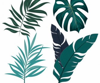 Tropical Leaf Icons Classic Handdrawn Outline