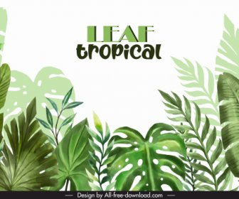 tropical leaves background template bright green classic design
