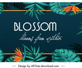 Tropical Nature Background Blossom Flowers Leaves Decor