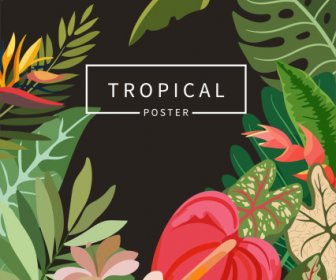 Tropical Nature Background Colorful Design Leaves Flowers Sketch