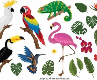 Tropikal Doğa Tasarım Öğeleri Hayvanlar, Bitkiler, Simgeler