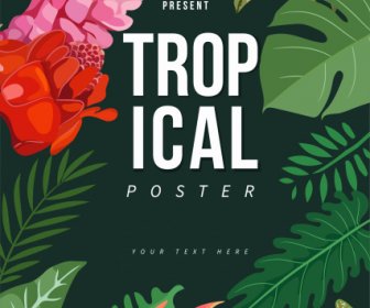 Tropical Nature Poster Colorful Classic Leaf Floral Decor