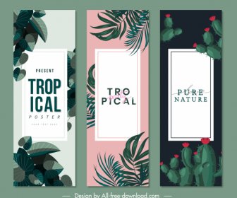 Tropical Nature Poster Templates Leaves Cactus Sketch