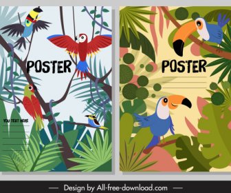 Poster Di Natura Tropicale Colorati Pappagalli Toucan Foglie Arredamento