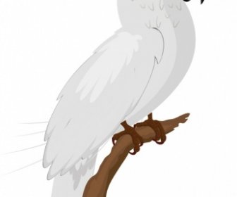 Biały Ikona Kreskówka Papuga Pióro Projekt Szkic Tropikalny