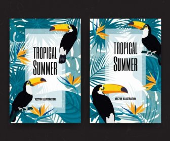 Tropikalne Ptaki Pozostawia Dekoracji Kolorowym Projektu Lato W Tle