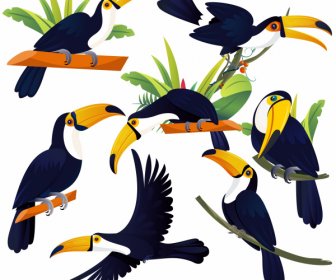 ícones De Pássaros Tucanos Desenho Animado Colorido