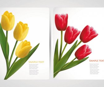 Flores De Tulipán Gráficos Vectoriales