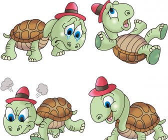 Turtle -8