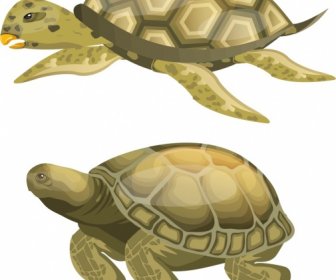 Turtle Creatures Icons Shiny Colored Sketch