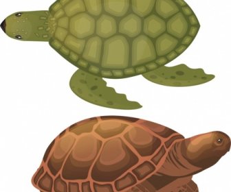 Turtle Species Icons Dark Colored Sketch