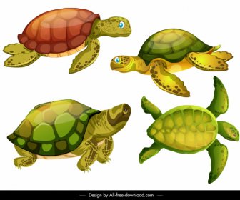 Turtle Species Icons Shiny Modern Colorful Sketch