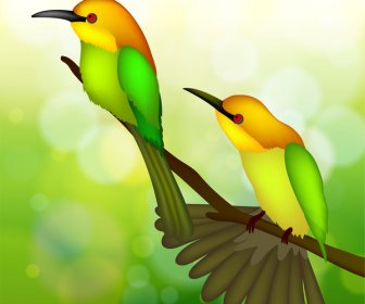 Dois Pássaros No Galho De árvore