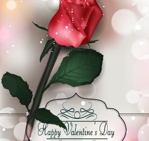 Valentines Day Rose Cards Design Vector
