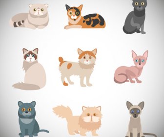 Verschiedene Katzen Vektor-Illustrationen Mit Farbstil