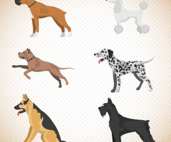 Verschiedene Hunde Vektor-Illustration Mit Farbstil