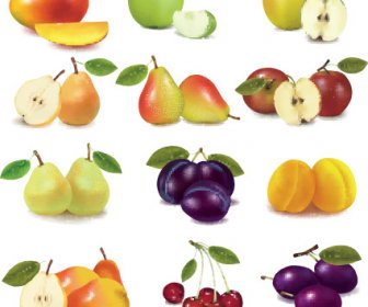 様々 な新鮮なフルーツ デザインの要素のベクトル