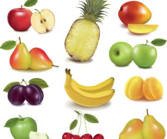 様々 な新鮮なフルーツ デザインの要素のベクトル