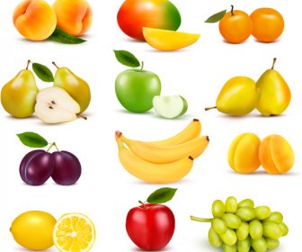 Various Fresh Fruits Vector Design