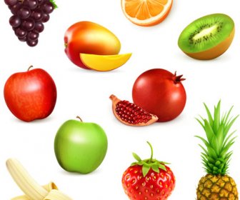 Verschiedene Frische Früchte-Vektor-design