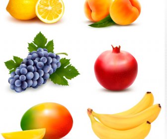 различные свежие фрукты Векторный дизайн