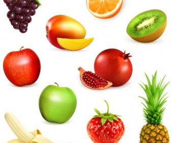 Berbagai Buah-buahan Segar Vektor Ilustrasi