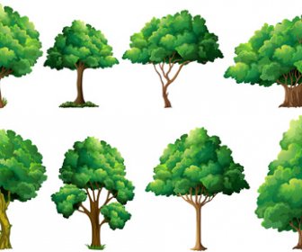 Legen Sie Verschiedene Baum Vektoren