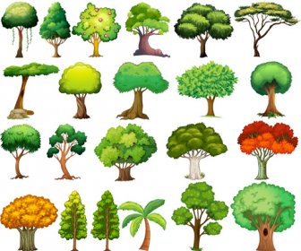 Various Tree Vectors Set