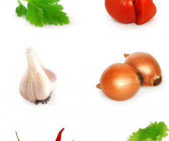 Berbagai Sayuran Desain Vektor