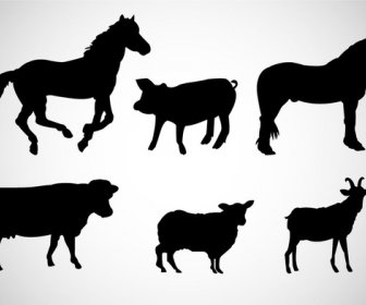 Various Wild Animals Vector Illustration With Silhouettes Design