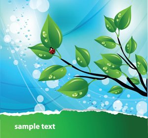 Vector Abstract Natural Green Leaves Brochure Template