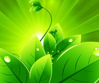 Vektor-Hintergrund Mit Grünen Blättern