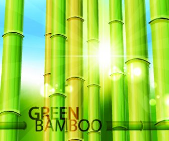 Fundo De Elementos De Design De Bambu Vector