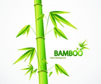Vektor-Bambus-Design-Elemente-Hintergrund