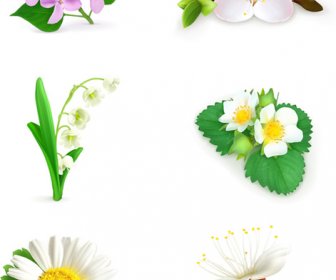 Vector Beautiful Flowers Design Set