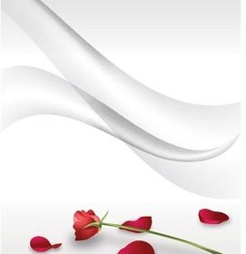 Vector Beautiful Red Rose Illustration On Abstract Gray Line Art Background