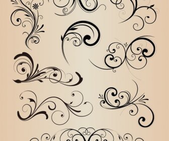Vector Collection Of Design Floral Elements