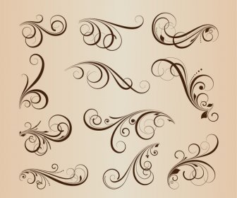 Vector Collection Of Floral Design Elements