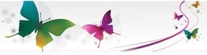 Vector Colorful Butterfly Flying On Lines Pattern Background Banner
