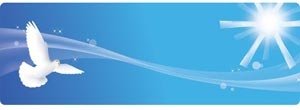 Vector Dove Flying With Glossy Lines Banner