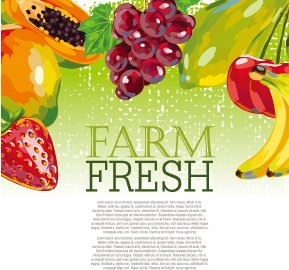 Vektor-Bauernhof-frisches Obst-Hintergrund-design